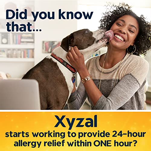 Xyzal Allergy Pills, 24-Hour Allergy Relief, 80-Count, Original Prescription Strength Xyzal buy supplements canada