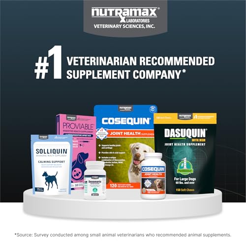 Nutramax Dasuquin for Small to Medium Dogs, Joint Health Supplement, Contains Glucosamine for Dogs, Plus Chondroitin, ASU and More, Supports Healthy Joints, Chewable Tablets, 150 Count Nutramax Laboratories buy supplements canada