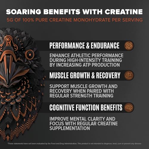 Birdman Falcon Performance Vegan Protein Powder, 31g Protein, 5g Creatine, 5g BCAA BIRDMAN buy supplements canada