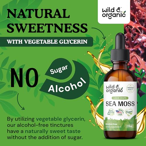 Sea Moss - Organic Sea Moss Liquid Drops - Irish Sea Moss Supplement - Seamoss Wild & Organic buy supplements canada