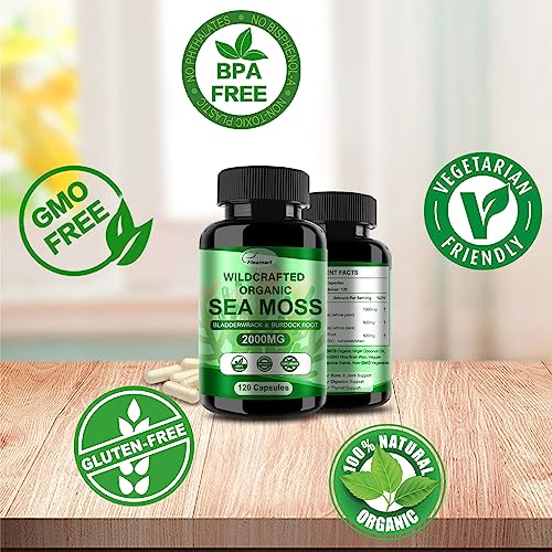 Fleamart 2 Pack Irish Sea Moss Capsules 120ct Raw Organic Sea Moss Wildcrafted Bladder Fleamart buy supplements canada
