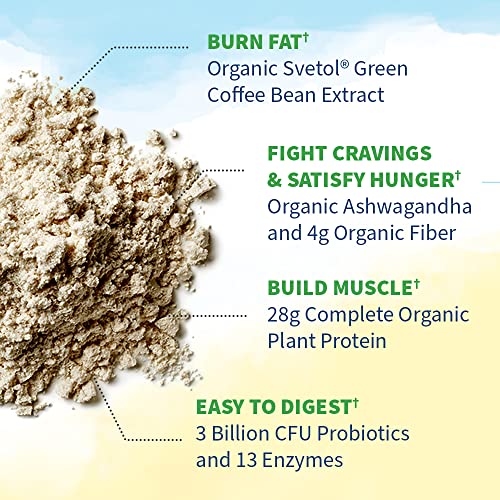 Garden of Life Raw Organic Fit Vegan Protein Powder Original, 28g Plant Based Protein Garden of Life buy supplements canada