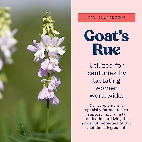 Goat's Rue Lactation Supplement For Increased Breast Milk, Lactation Supplement Mommy Knows Best buy supplements canada