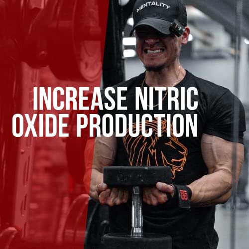 ALPHA LION Gains Candy, Supplement Pills for Muscle Pump & Blood Flow, Nitric Oxide ALPHA LION buy supplements canada