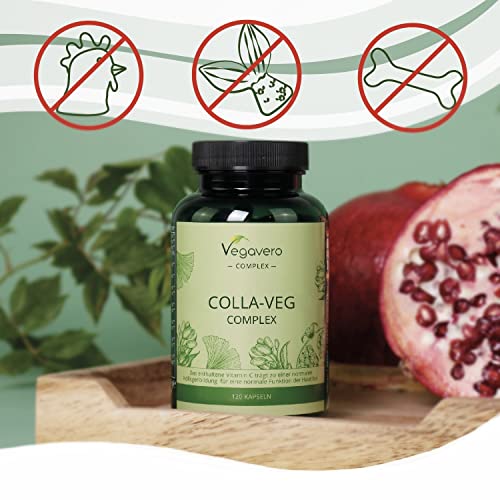 Vegavero Vegan Collagen Supplement | 2000mg | Complex with L-Lysine, L-Proline, Vitamin C (Acerola) & Superfoods Extracts Vegavero buy supplements canada