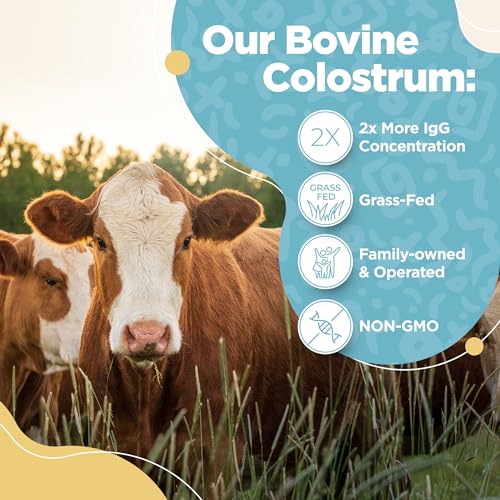 Bovine Colostrum Powder - 40% IgG Highly Concentrated Pure Bovine Colostrum InstaSkincare buy supplements canada
