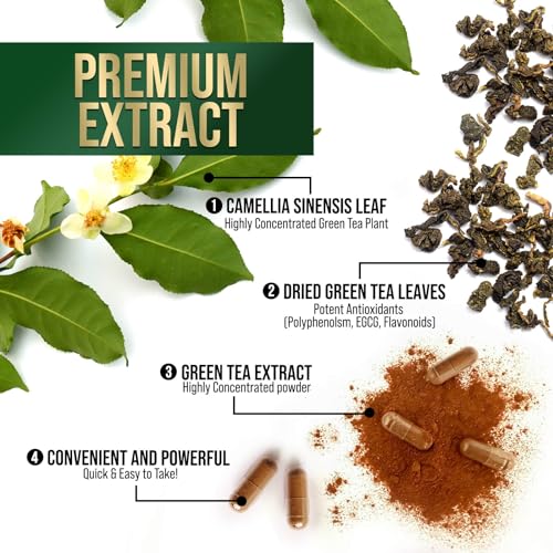 Nature's Green Tea Extract Pills 98% Standardized EGCG 1000mg - 3X Strength for Natural Nature's Nutrition buy supplements canada