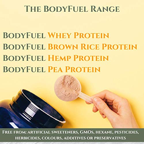 Complementary Supplements - BodyFuel Whey Protein Isolate & Concentrate Chocolate Flavour Complementary Supplements buy supplements canada