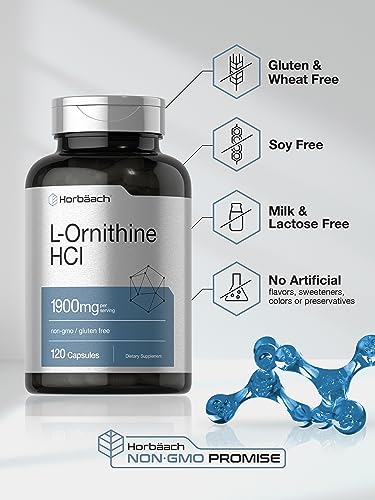 L Ornithine HCl | 1900mg | 120 Capsules | Non-GMO & Gluten Free Supplement Horbäach buy supplements canada