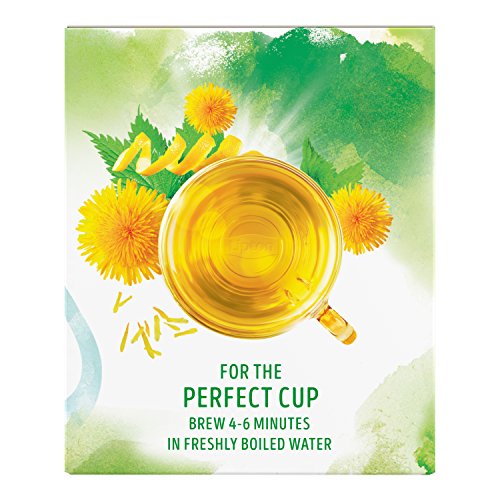 Lipton Green Tea Bags, Herbal Supplement for Detox, 15 Count (Pack of 4) Lipton buy supplements canada