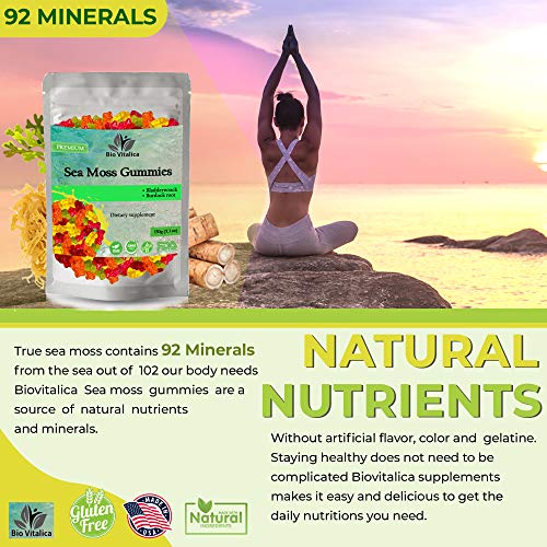 Sea Moss Gummies - Irish sea Moss raw Organic, Bladderwrack, Burdock Root BIO VITALICA buy supplements canada