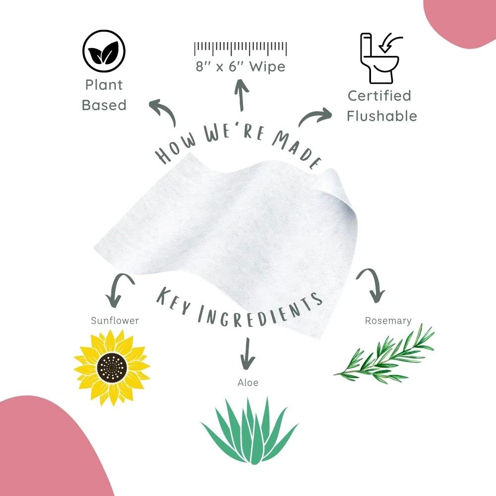 Stall Mates Wipes Feminine Fresh - Flushable | Individually Wrapped Cleansing Travel Friendly PH Stall Mates Wipes buy supplements canada