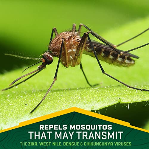 Repel Plant-Based Lemon Eucalyptus Insect Repellent, Mosquito Repellent Repel buy supplements canada