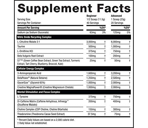 Rhino Black Pre Workout V2 - Preworkout Powder Supplement for Men & Women Musclesport buy supplements canada