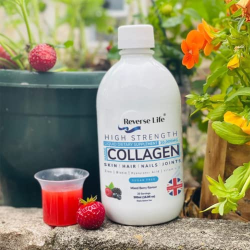 Reverse Life Marine Collagen Liquid Supplement Drink - High-Strength 10,000mg Hydrolysed Peptide Infused Reverse Life buy supplements canada