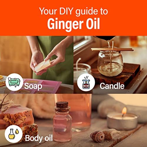 H’ana Pure Ginger Oil for Belly Fat & Pain - 100% Natural Therapeutic Grade Ginger Essentia H'ana buy supplements canada
