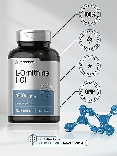 L Ornithine HCl | 1900mg | 120 Capsules | Non-GMO & Gluten Free Supplement Horbäach buy supplements canada