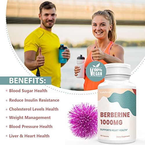 KoNefancy Berberine 1000mg with Silymarin,High Absorption Berberine HCL Supplements KoNefancy buy supplements canada