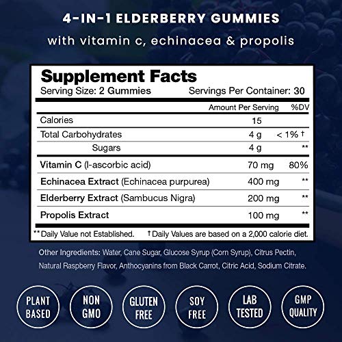 NutraChamps Elderberry Gummies with Vitamin C, Propolis & Echinacea NutraChamps buy supplements canada