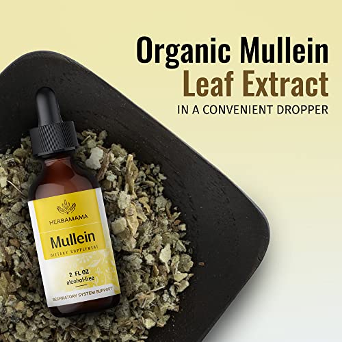 Mullein Leaf Tincture - Lung Cleanse - Vegan Lung Detox - Respiratory Health HERBAMAMA buy supplements canada