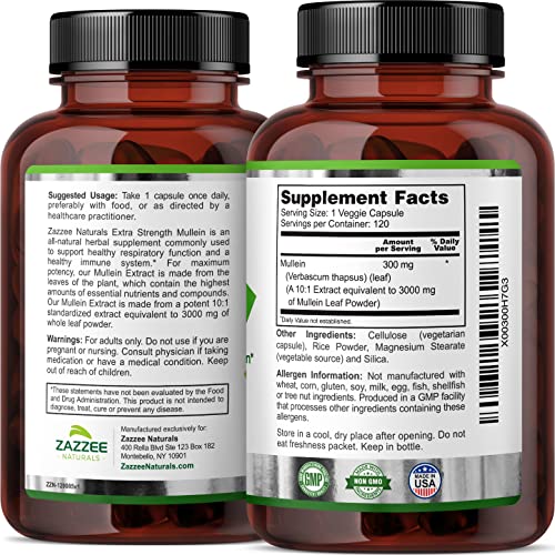 Zazzee Extra Strength Mullein 10:1 Extract, 3000 mg Strength, 120 Vegan Capsules Zazzee buy supplements canada