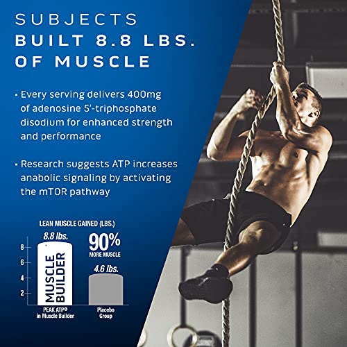 MuscleTech Muscle Building Supplements for Men & Women - Nitric Oxide MuscleTech buy supplements canada