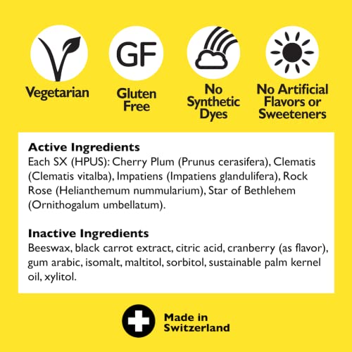 Bach RESCUE PASTILLES, Cranberry Flavor, Natural Stress Relief Lozenges RESCUE buy supplements canada