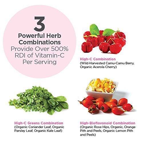 Dr. Schulze's | Super-C Plus Powder | Vitamin C Complex | Clinical Herbal Formula Dr. Schulze's buy supplements canada