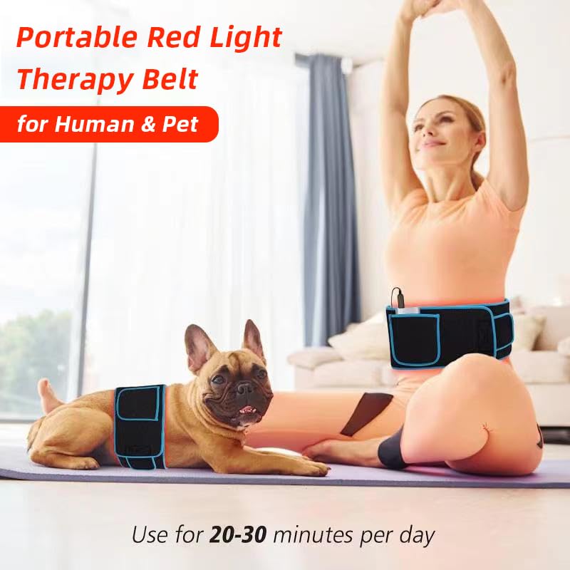 Red Light Therapy Belt, 660&850nm 3 -in-1 Big Chips Near Infrared Therapy Wrap for Body HEDYNSHINE buy supplements canada