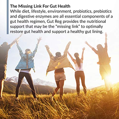 BioTrust Gut Reg Supports a Healthy Gut Lining, Helps Restore Gut Health BioTrust buy supplements canada