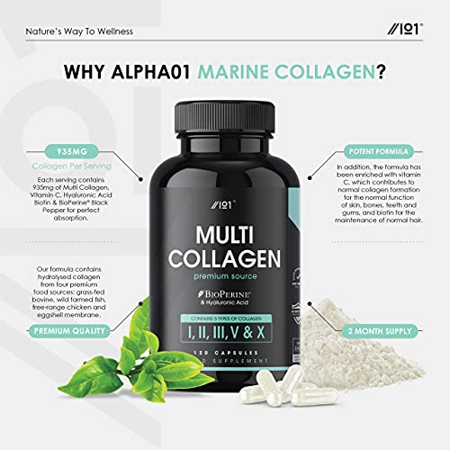 Multi Collagen Protein Capsules - Types I, II, III, V & X - Wild Caught Marine, Grass Fed Bovine, Eggshell & Free-Range Chicken Collagen Powder Revive Naturals buy supplements canada
