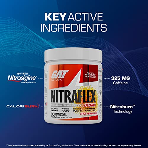 GAT SPORT NITRAFLEX Burn, Pre Workout Thermogenic Powder, Apple Melon, 30 Servings GAT SPORT buy supplements canada