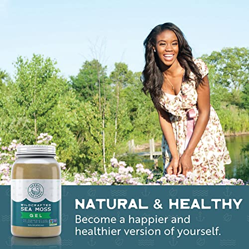 Herbal Vineyards Natural Organic Wildcrafted Gold Raw Sea Moss Gel for Immune Support Herbal Vineyards buy supplements canada
