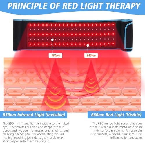 Red Light Therapy Near Infrared Light Therapy Wrap Belt for Body with Timer for Waist Back Shoulder AKYSUN buy supplements canada