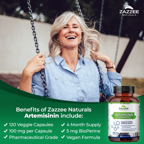 Zazzee High Absorption Artemisinin, 100 mg per Capsule, 120 Vegan Capsules, with 5 mg Zazzee buy supplements canada