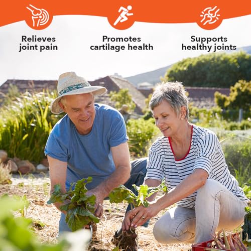 LifeSeasons Mobili-T - Joint Support Supplement - Reduces Aches & Discomforts - Increase Range of Motion - Rebuild Tissue & Cartilage - MSM Chondroitin Collagen Glucosamine & Turmeric - 208 Capsules LifeSeasons buy supplements canada