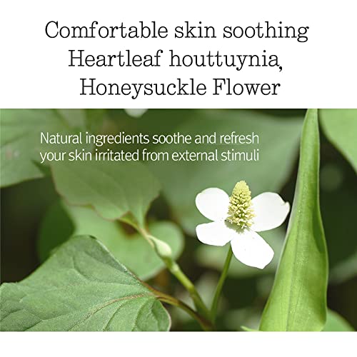 Pyunkang Yul Low pH Feminine Wash with Green Tea, Cica, Moisturizing for Women Vaginal Health Pyunkang Yul buy supplements canada