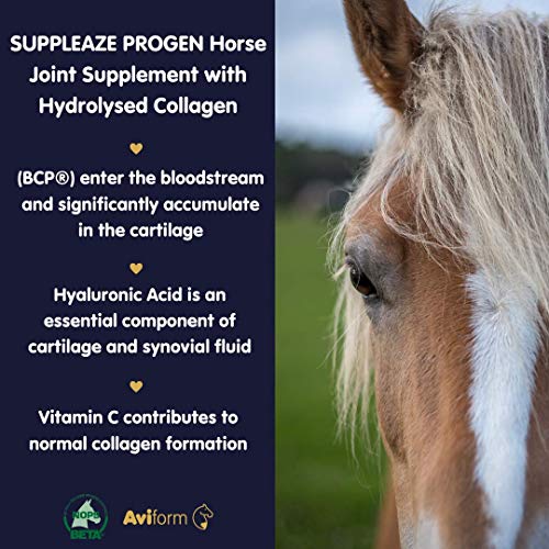 Aviform SUPPLEAZE PROGEN Horse Joint Supplement with Hydrolysed Collagen 1kg Aviform buy supplements canada