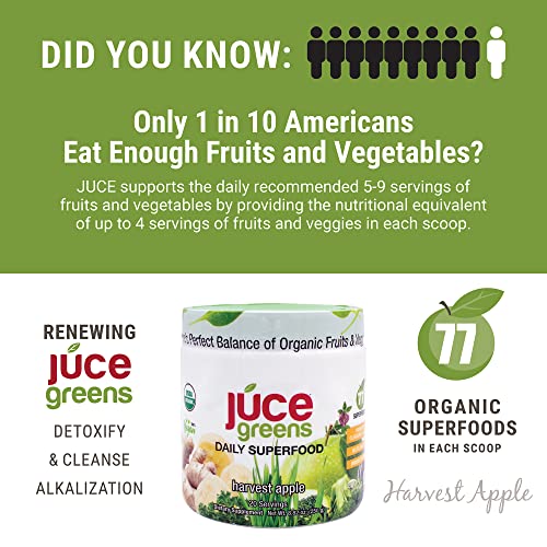 Terra Kai Organics JUCE Green Superfood Powder, Organic Fruits and Veggies Supplement Terra Kai Organics buy supplements canada