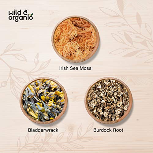 Sea Moss Capsules - 180 Caps Wildcrafted Irish Moss, Burdock Root & Bladderwrack Wild & Organic buy supplements canada