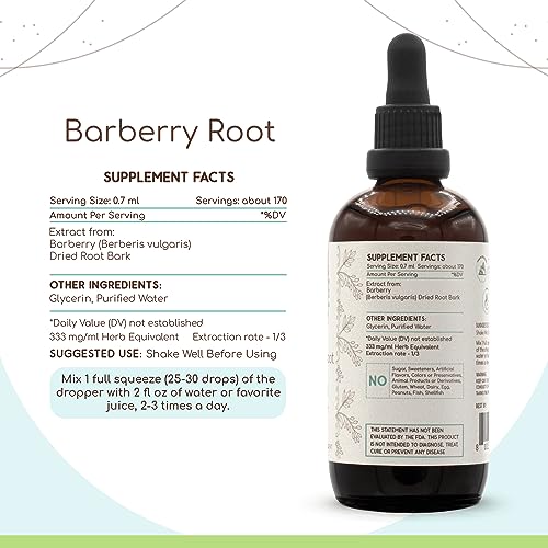 Barberry Root B120 Alcohol-Free Herbal Extract Tincture, Concentrated Liquid Drops Natural Barberry HerbEra buy supplements canada