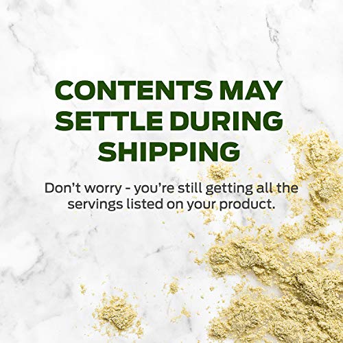 Vega Premium Sport Protein Berry Protein Powder, Vegan, Non GMO, Gluten Free Plant Vega buy supplements canada
