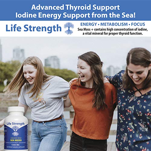 Life Strength Organic Sea Moss 120 CT Wildcrafted Irish Sea Moss and Bladderwrack Burdock Life Strength buy supplements canada