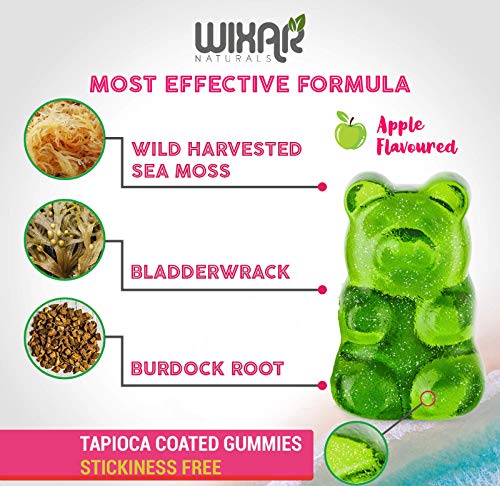 WIXAR NATURALS Sea Moss Gummies - Natural Irish Sea Moss and Bladderwrack WIXAR NATURALS buy supplements canada