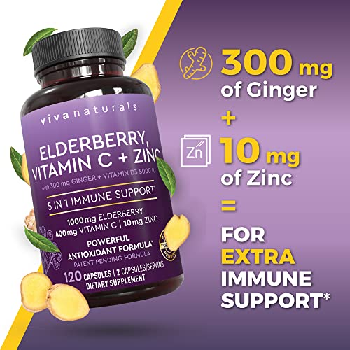 Viva Naturals Sambucus Elderberry with Vitamin C and Zinc for Adults - 5 in 1 Sambucus Viva Naturals buy supplements canada