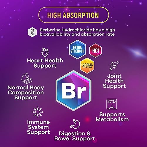 Berberine Supplement 1200mg per Serving - High Absorption Heart Health Support Nature's Nutrition buy supplements canada