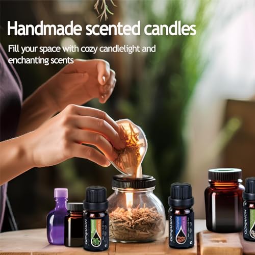 KMSCO Essential Oils Set -Top 16(0.33Fl Oz) Organic Plant Natural Fragrance Scents Blends Oil KMSCO buy supplements canada