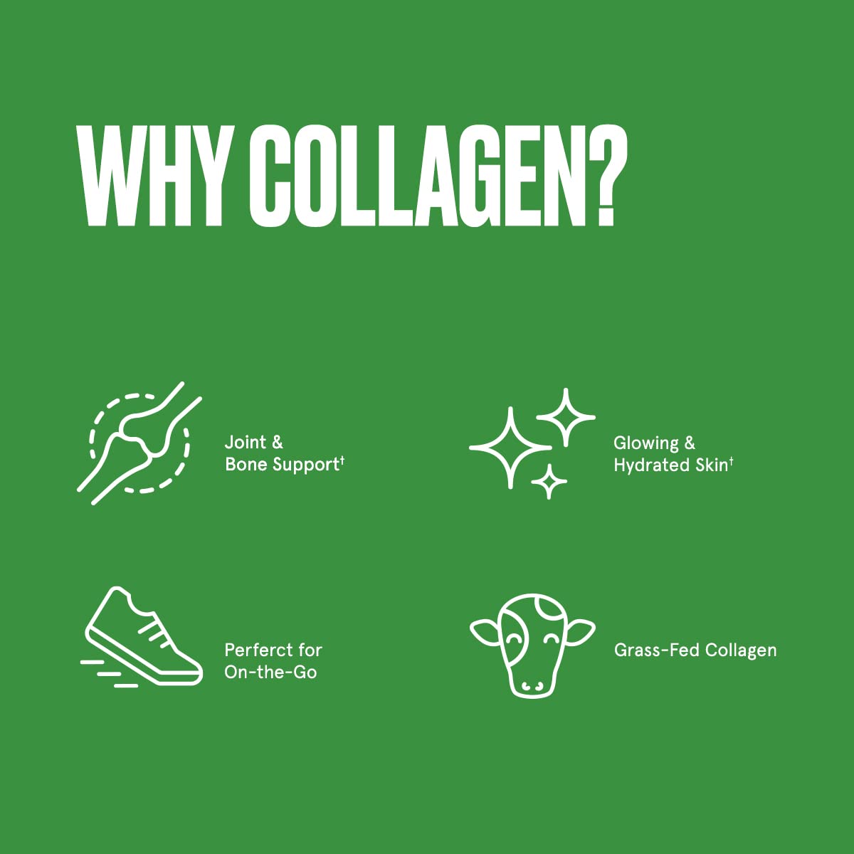 Bulletproof Unflavored Collagen Peptides Powder Packets, Pack of 15, Grass-Fed Collagen Bulletproof buy supplements canada