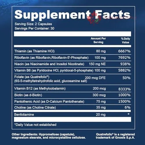 Opti + Homocysteine Capsules | Daily Brain and Heart Health Supplements* | Brain Supplement with Methylcobalamin & Methylfolate | 60 capsules/30 Servings Opti + Life buy supplements canada