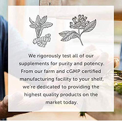 Global Healing Bio-Active Copper Supplement Cu1 - Cuprous Nicotinic Acid Helps Detox Global Healing Center buy supplements canada